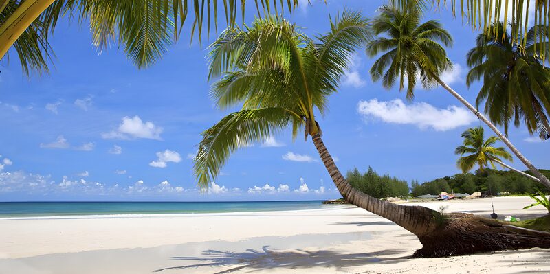 Tropical Beach Paradise