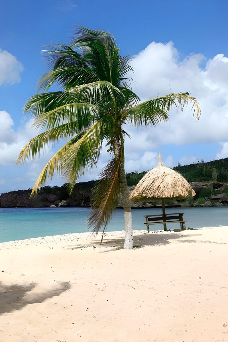 Tropical Paradise Retreat by the Sea