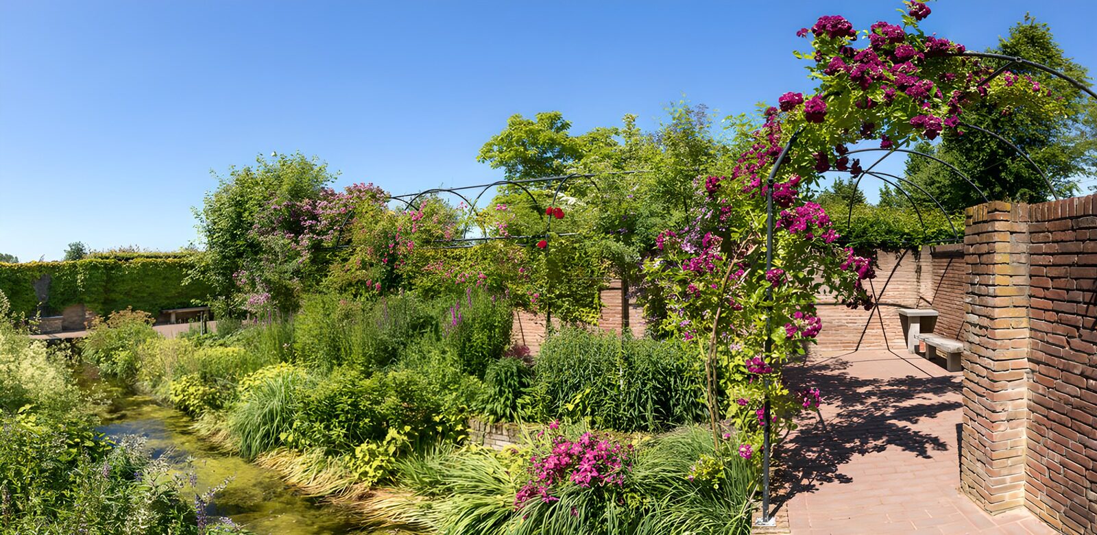 Tranquil Garden Oasis