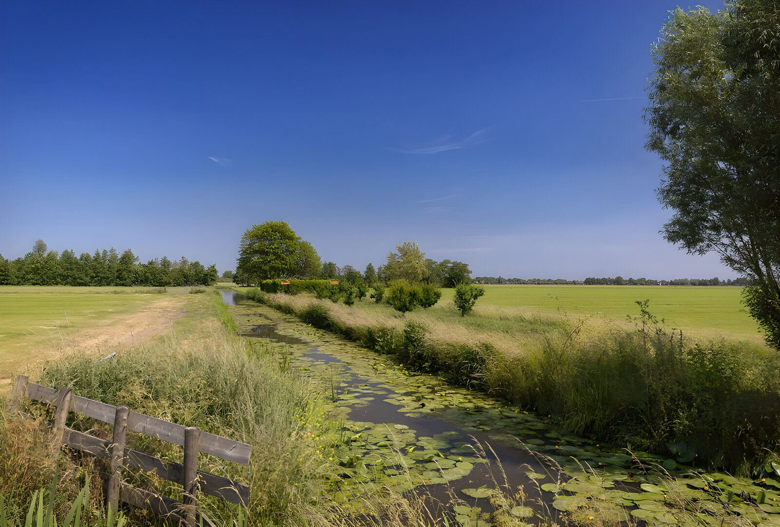 Serene Countryside Stream