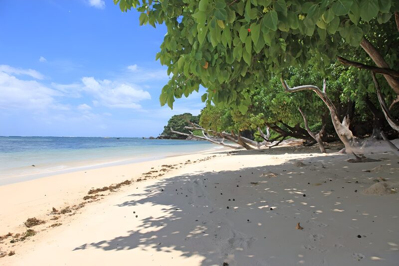 Serene Sandy Shoreline