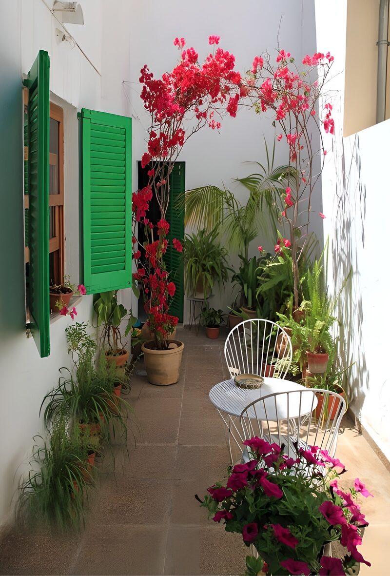 Blossoming Courtyard Oasis