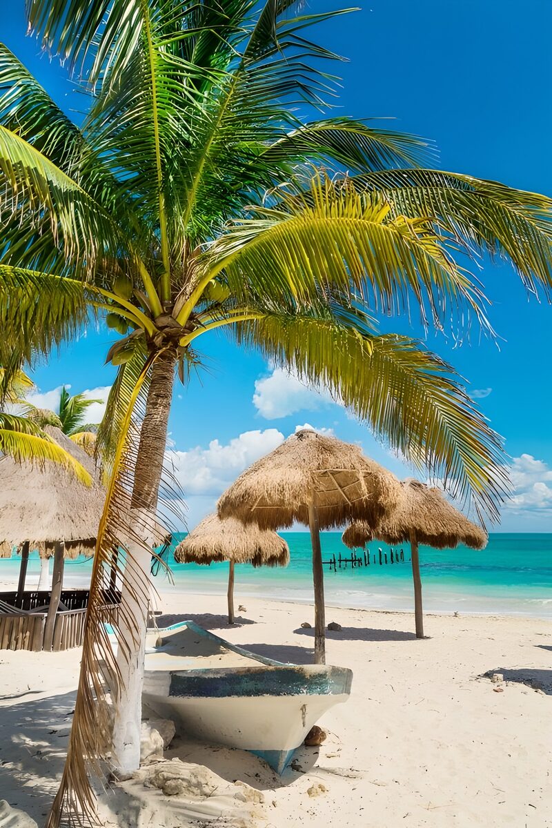 Tropical Paradise by the Shore