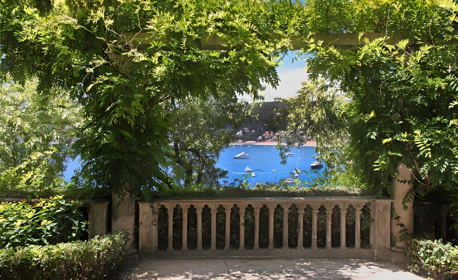 Serene View Through Lush Foliage