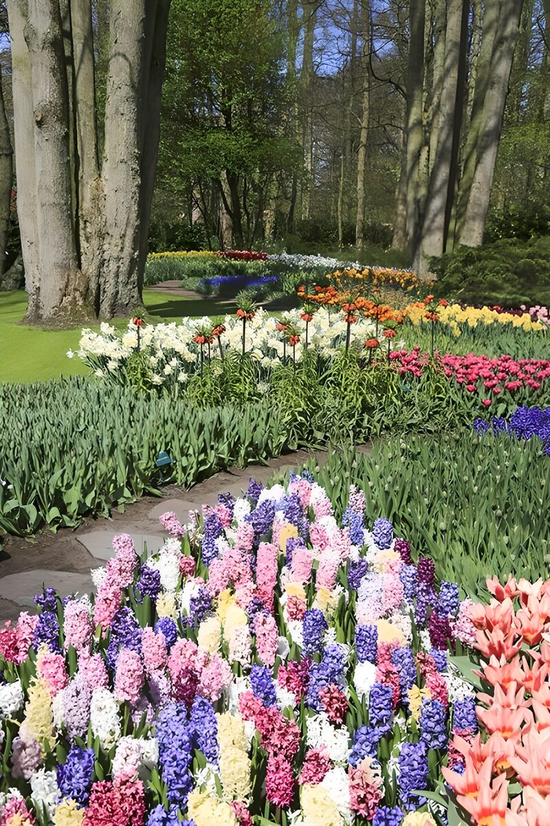 Vibrant Spring Flower Garden
