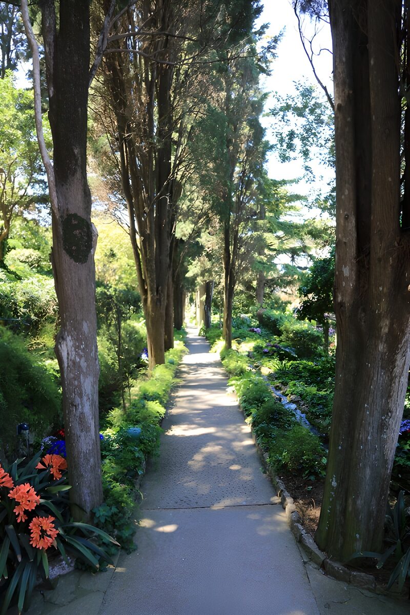 Serene Garden Pathway