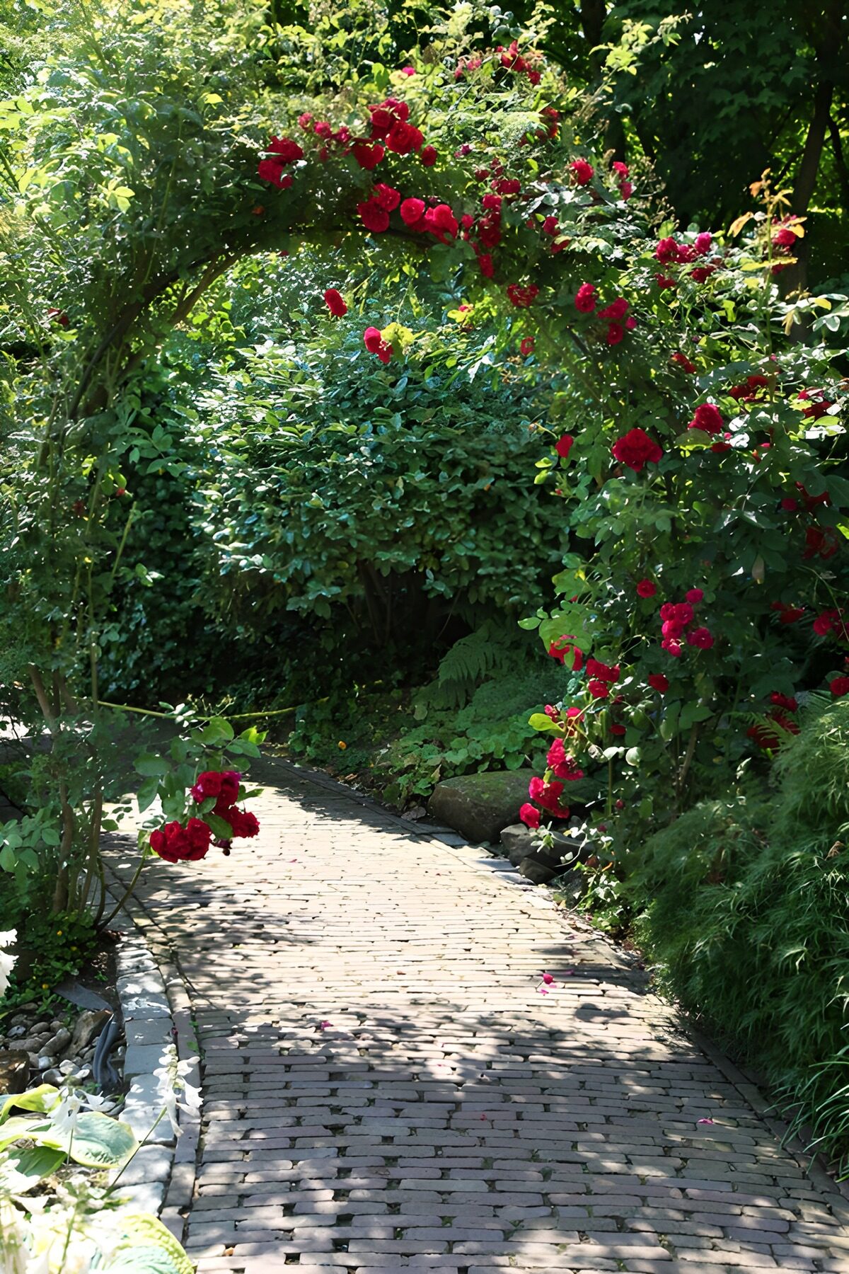 Enchanted Rose Garden Pathway