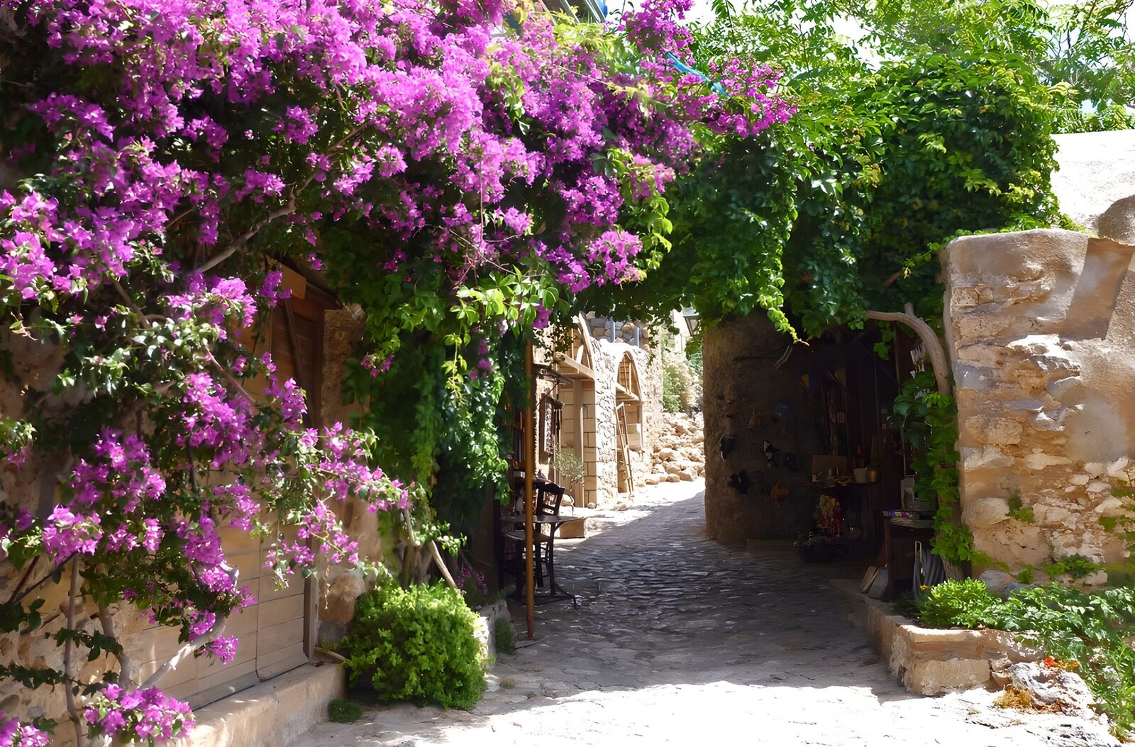 Flower-Covered Cobblestone Pathway