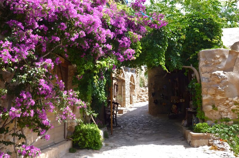 Flower-Covered Cobblestone Pathway