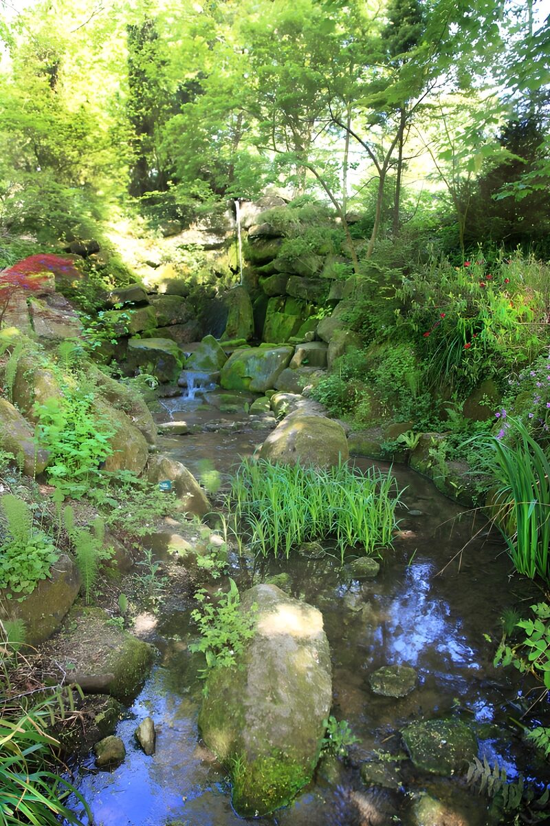 Tranquil Stream in Lush Greenery