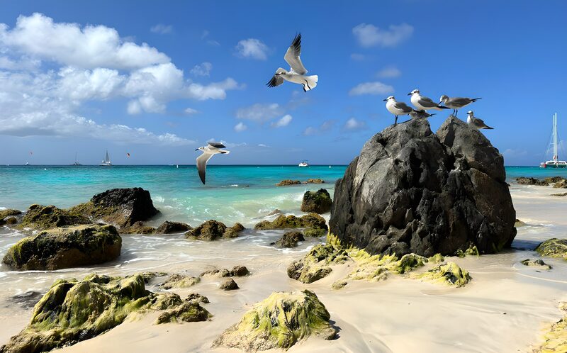 Serene Beach with Seagulls