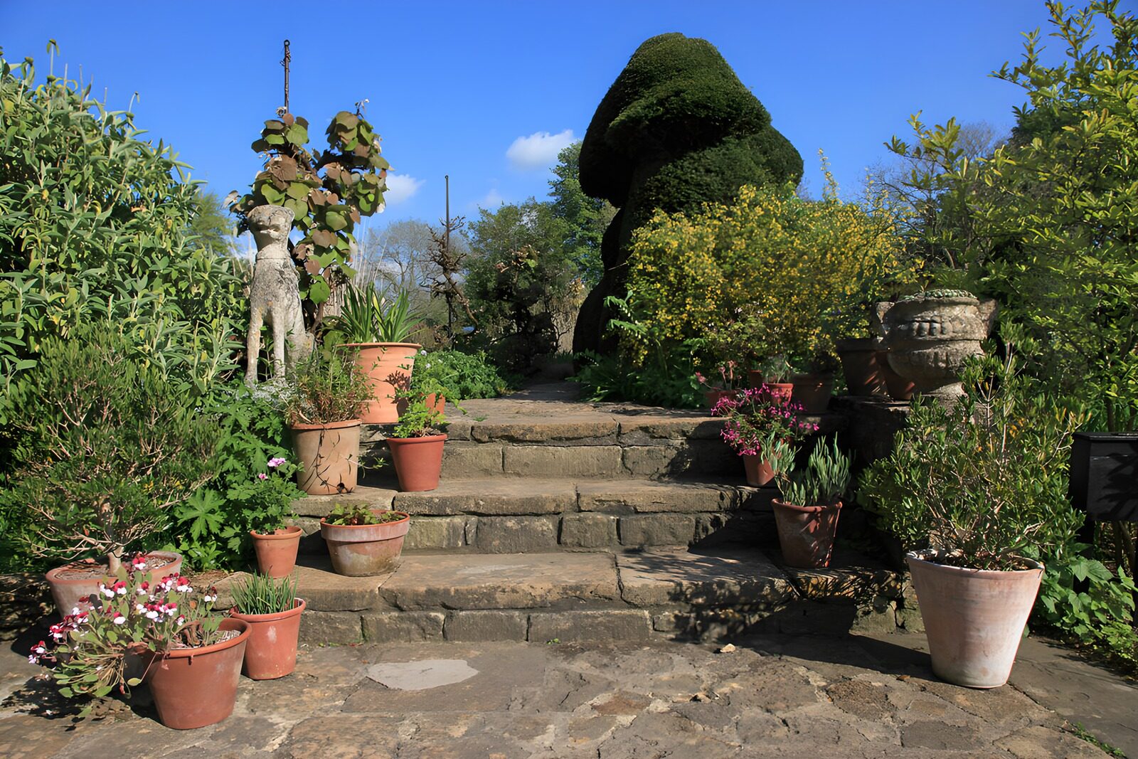 Lush Garden Pathway with Sculpted Greenery