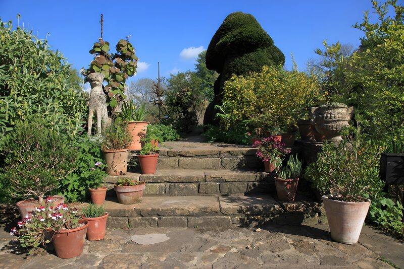 Lush Garden Pathway with Sculpted Greenery