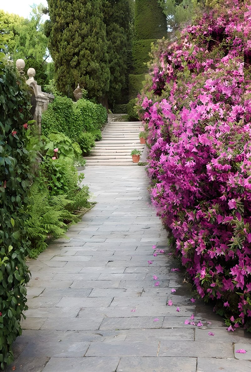 Serene Garden Pathway
