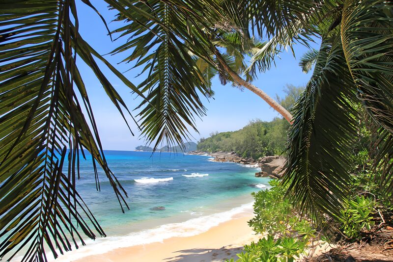 Tropical Beach Paradise View
