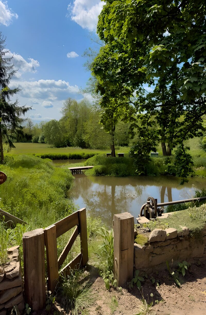 Serene Meadow by the Stream