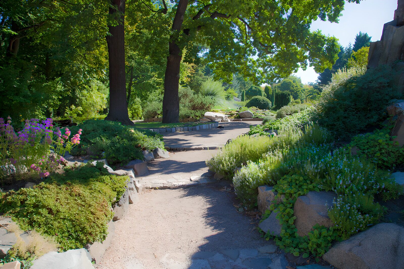 Serene Garden Pathway