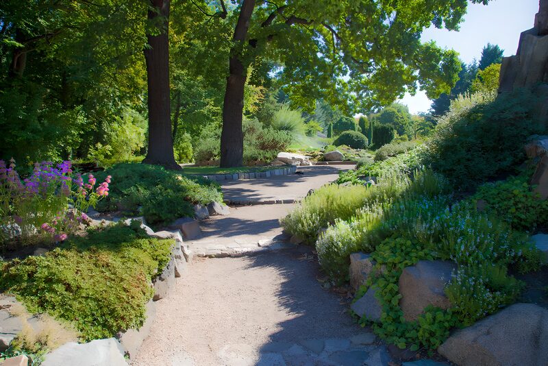 Serene Garden Pathway