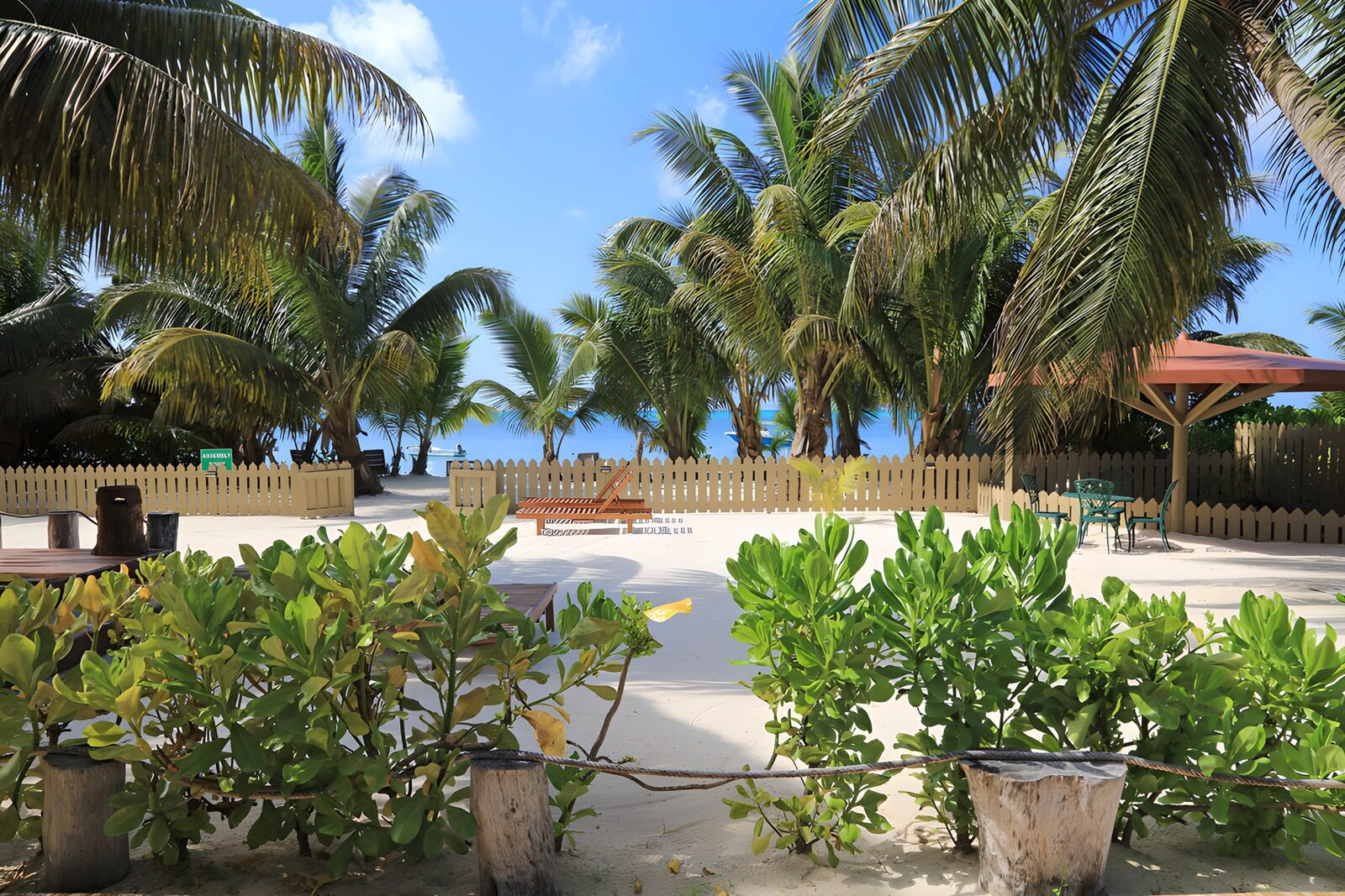 Tropical Paradise by the Shore