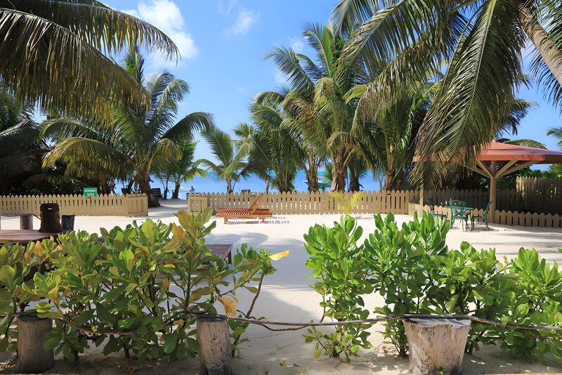 Tropical Paradise by the Shore