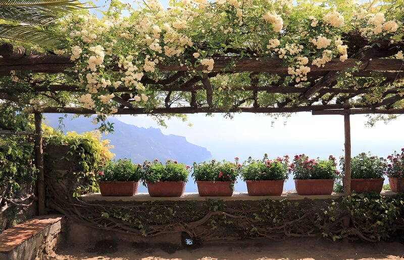 Serenity Under Blossoming Vines