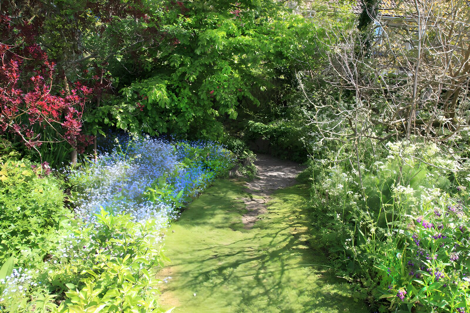 Tranquil Garden Pathway