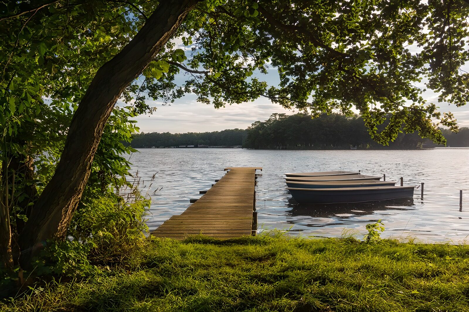 Peaceful Morning at the Lake