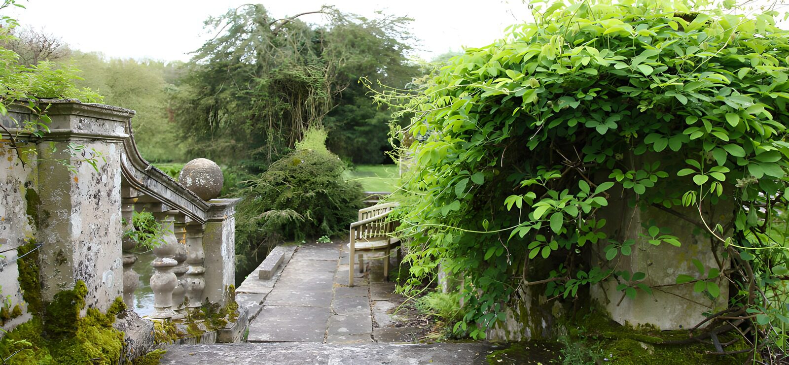 Overgrown Garden Pathway