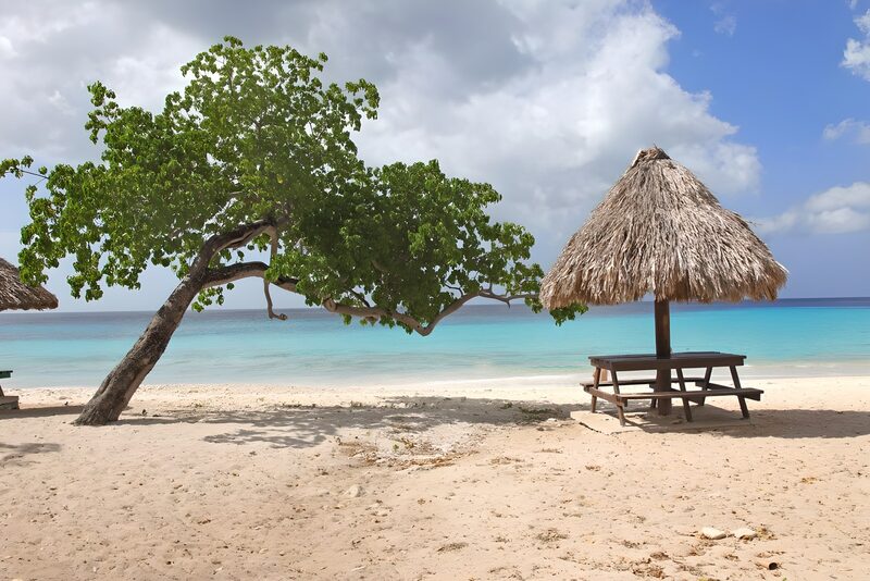 Serene Beach Escape with Shade and Surf