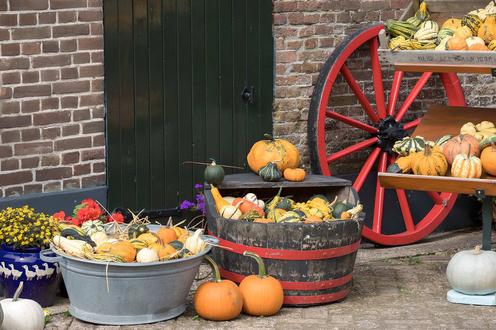 Autumn Harvest with Pumpkins and Gourds
