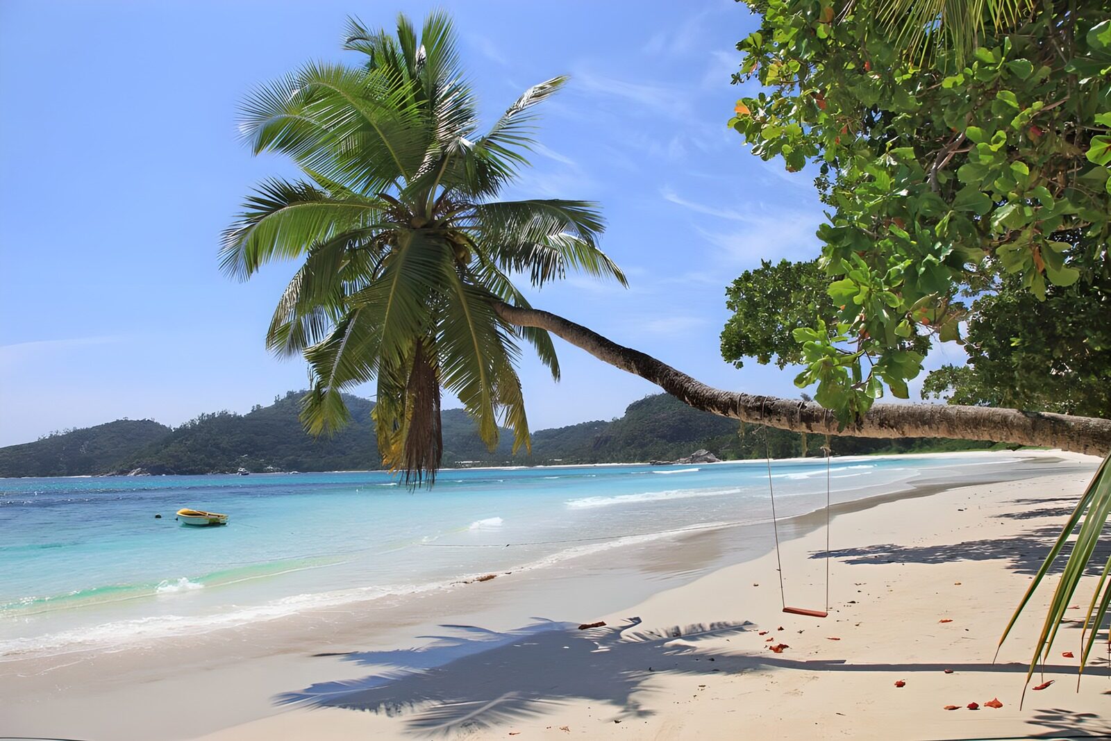 Tropical Paradise with a Swing