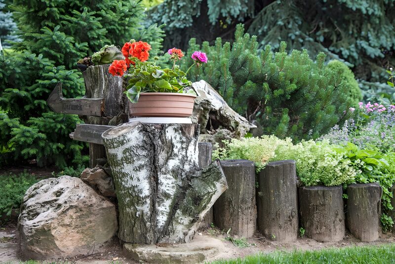 Charming Garden Décor with Flowers