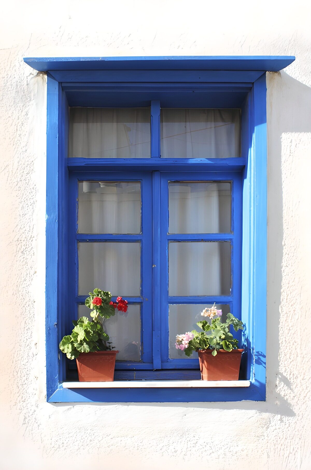Charming Blue Window with Flowers