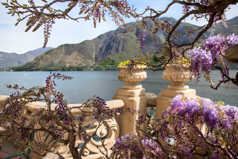 Serene Lakeview with Blossoming Wisteria