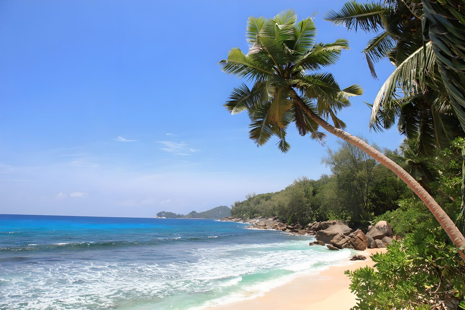Tropical Paradise by the Sea