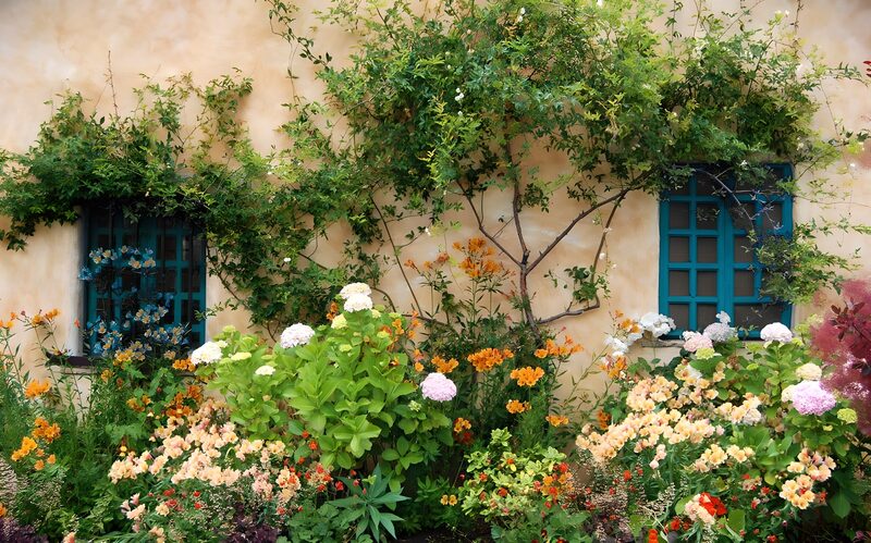 Lush Garden by Rustic Walls
