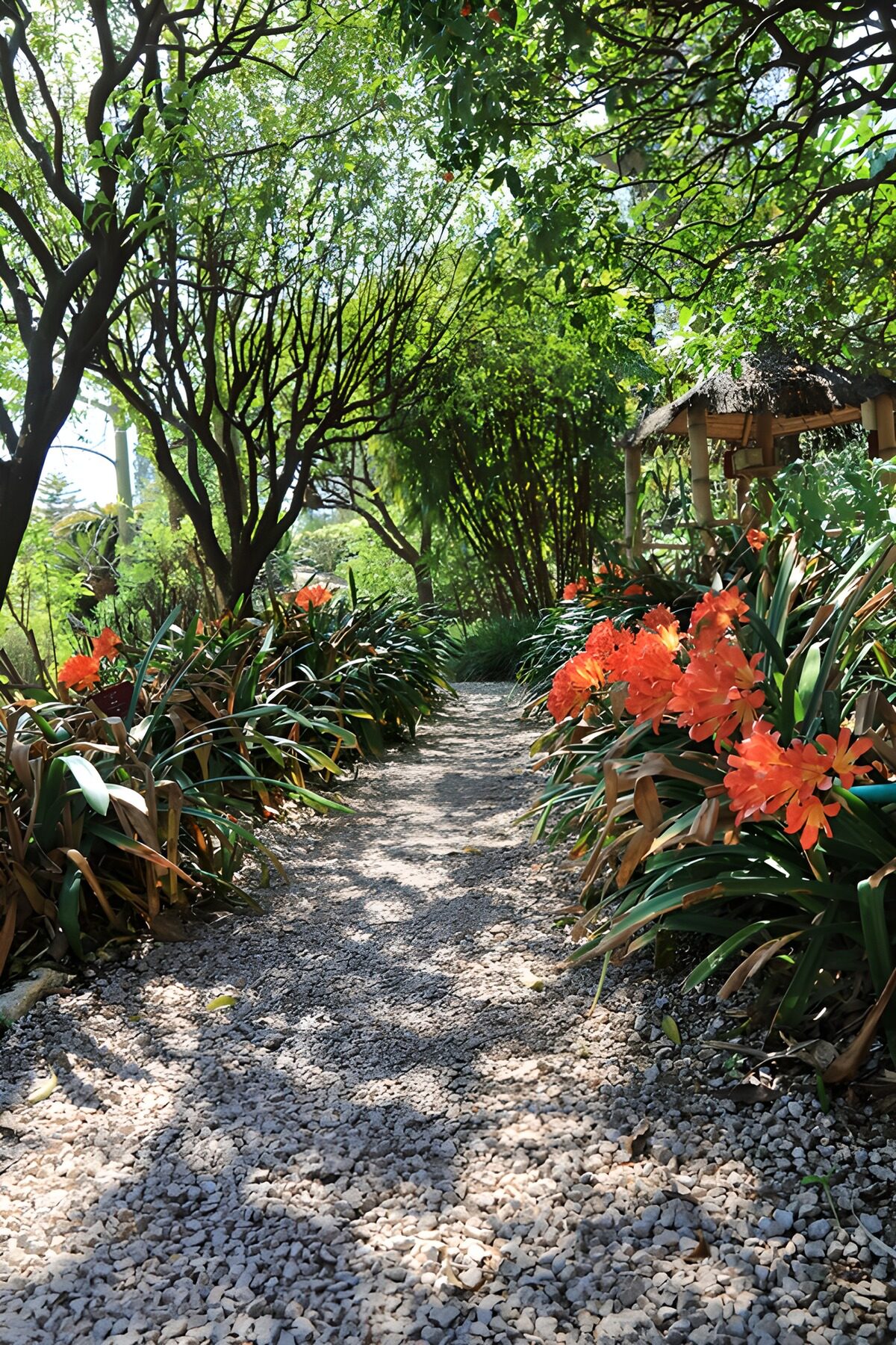 Tranquil Garden Pathway