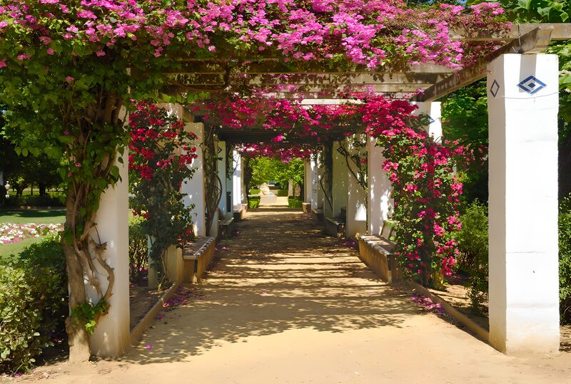 Serene Floral Pathway