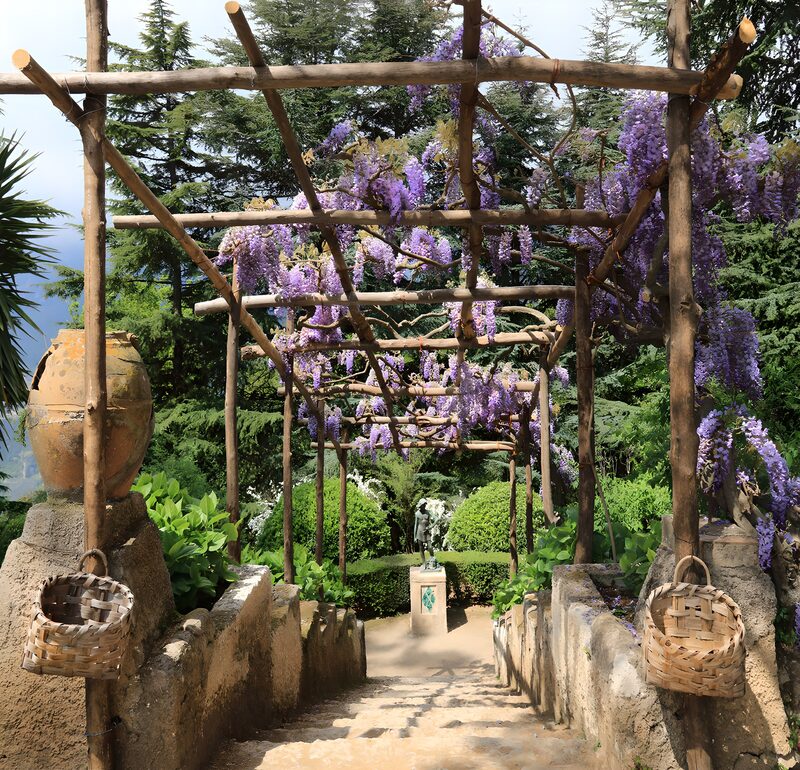 Serene Wisteria Pathway