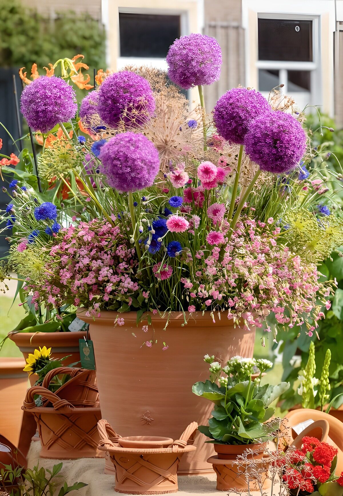 Vibrant Floral Display in a Pot