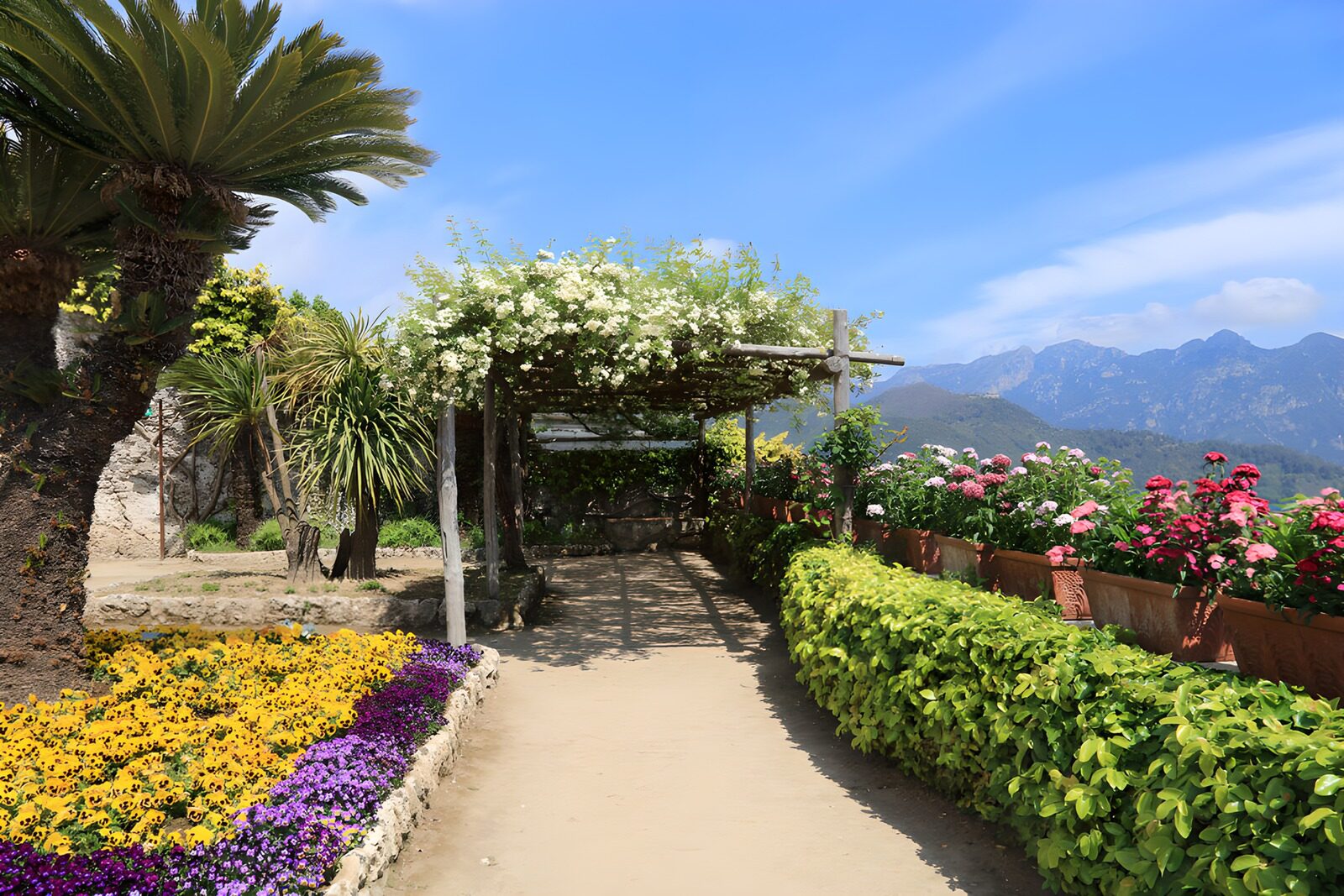 Serene Garden Pathway in Bloom