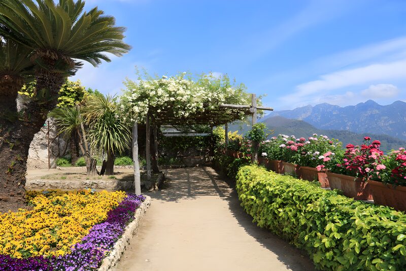 Serene Garden Pathway in Bloom