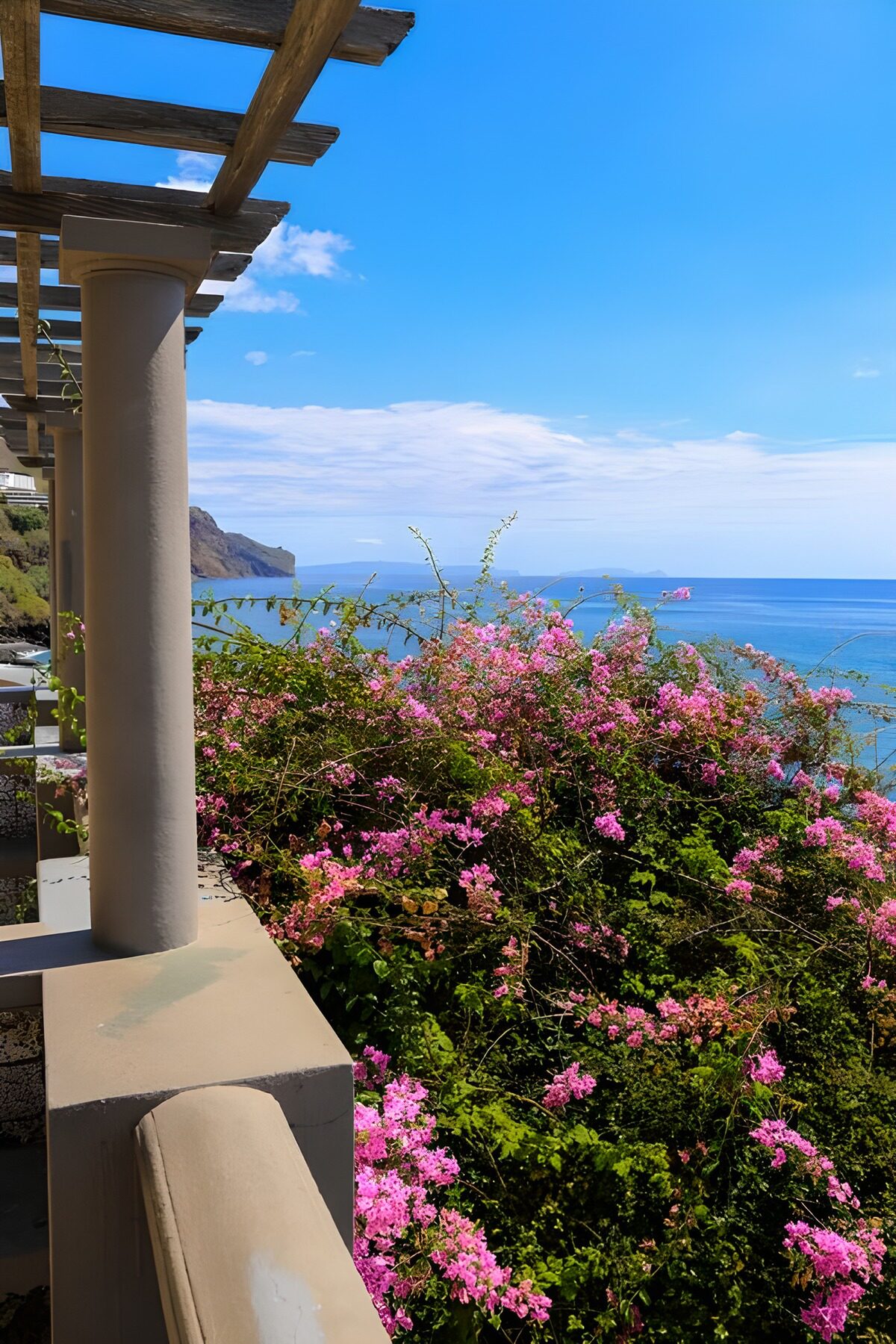 Coastal Bliss with Bougainvillea Blooms