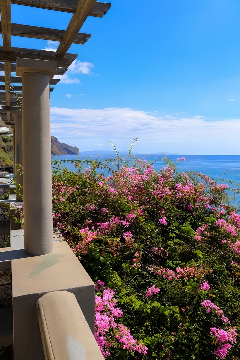 Coastal Bliss with Bougainvillea Blooms