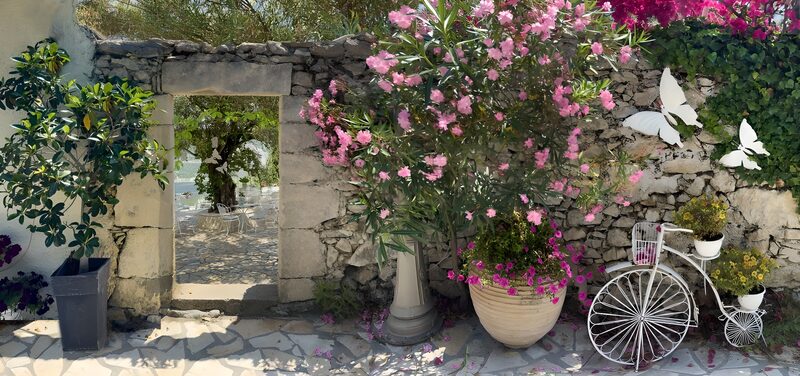 Charming Garden Entrance with Flowers