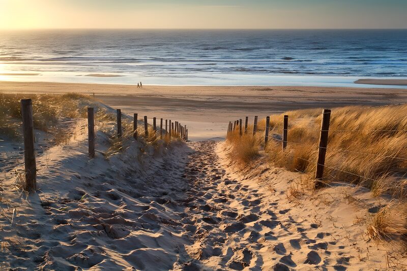 Tranquil Pathway to the Shoreline