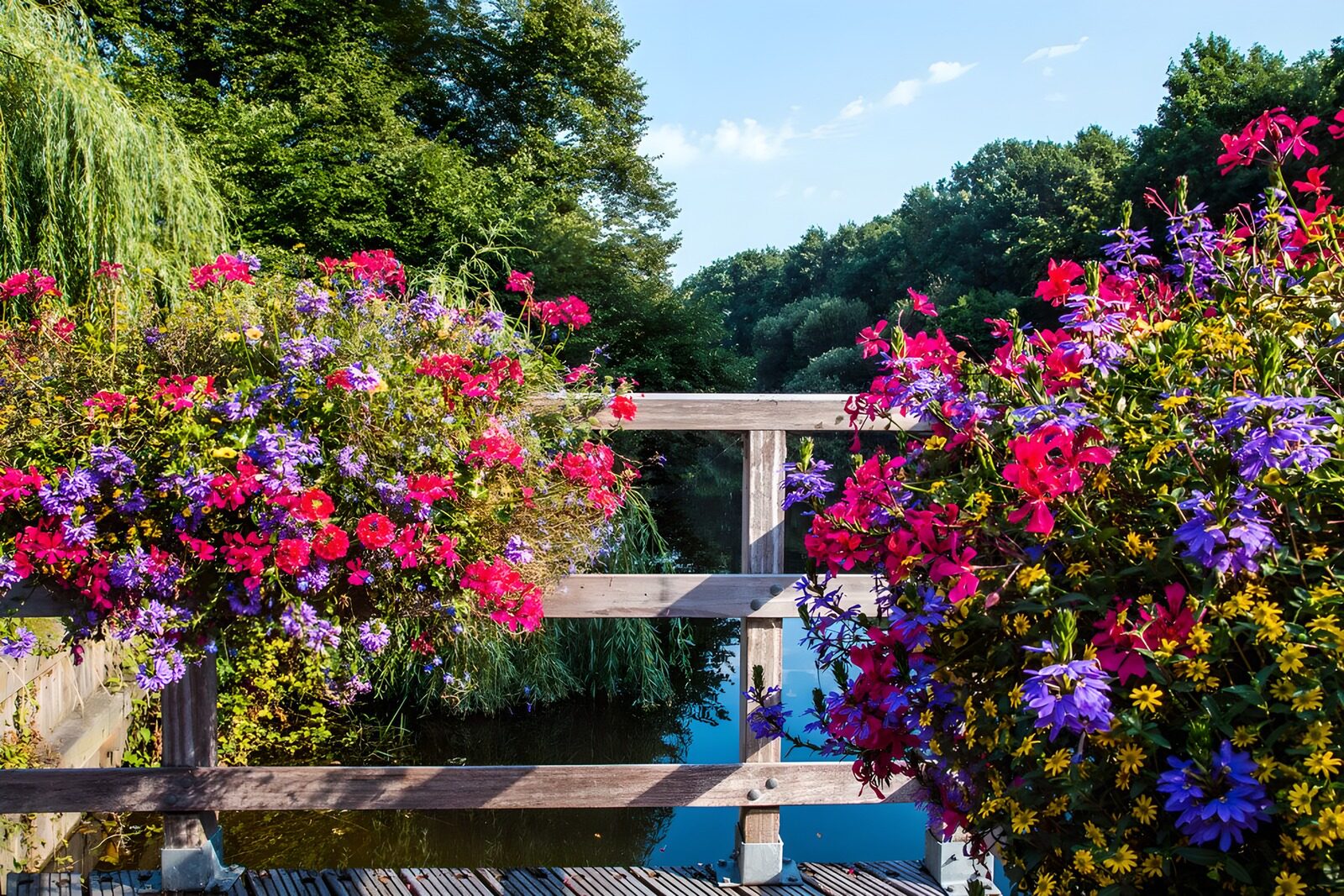 Vibrant Floral Bridge Over Tranquil Waters