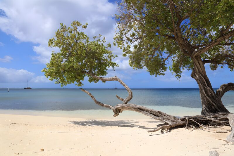 Serene Beach Serenity