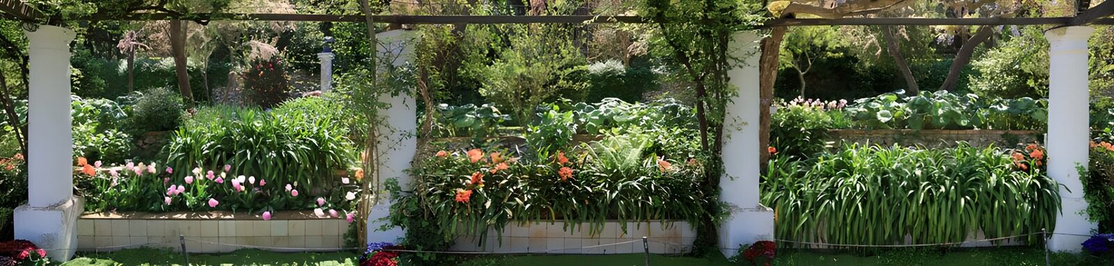 Vibrant Garden Serenity