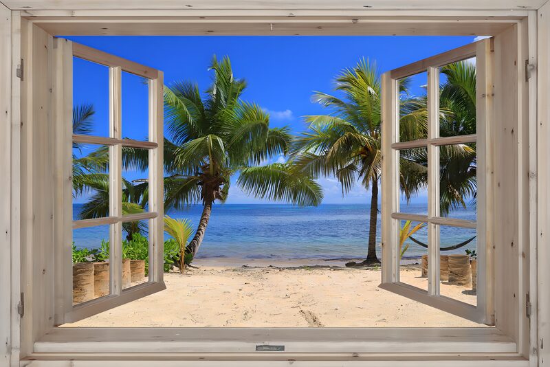 Tropical Paradise Through the Window